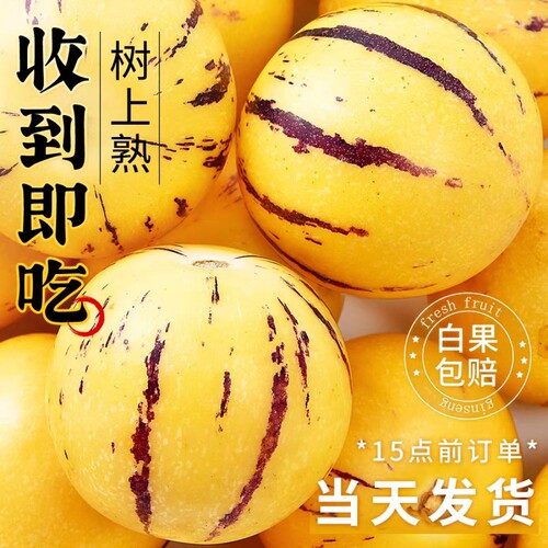 【石林直发】鲜嫩多汁清甜爽口