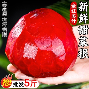 红菜头新鲜2026甜菜根全红多汁现挖甜菜头新鲜蔬菜农家自种辅料