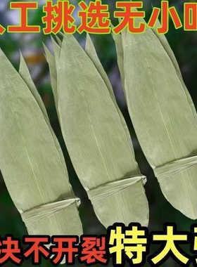 特大号野生干粽叶新鲜包粽子箬叶端午必备粽叶干大号家用粽子叶干