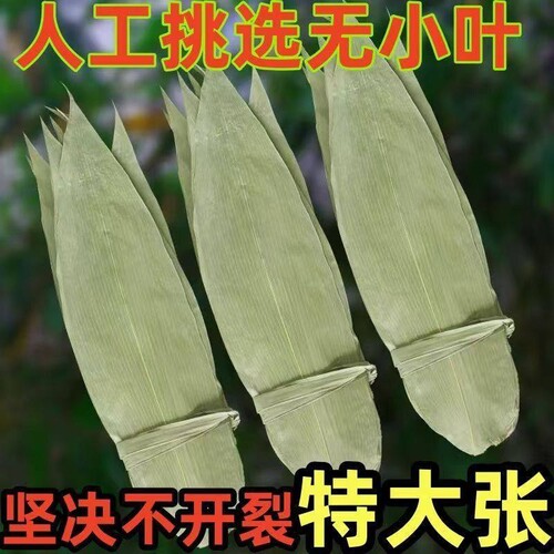 特大号野生干粽叶新鲜包粽子箬叶端午必备粽叶干大号家用粽子叶干