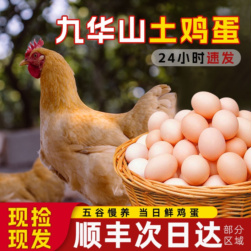 顺丰包邮正宗九华山土鸡蛋100枚整箱批发农家慢养土鸡蛋新鲜鸡蛋