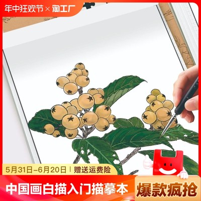 中国画白描入门描摹本国画工笔国风古风花卉人物禽鸟鱼虫古诗词美术套装水墨基础描红书初学者画画临摹画册毛笔绘画练习教材