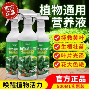 营养液植物通用型花肥发财树富贵竹绿萝水培盆栽家用花卉绿植肥料