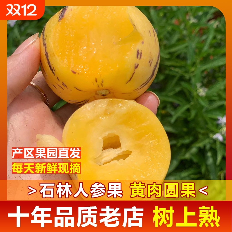 云南石林人参果熟果圆果新鲜水果