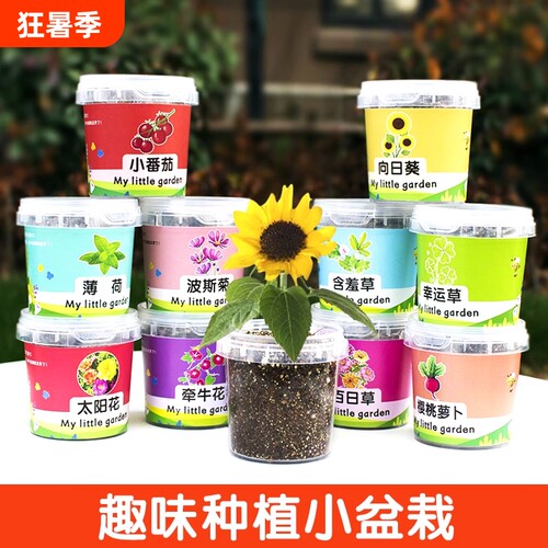 儿童种植小盆栽植物生长观察