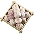 紫红皮大蒜大蒜头2斤起多规格产地发货纯干批发