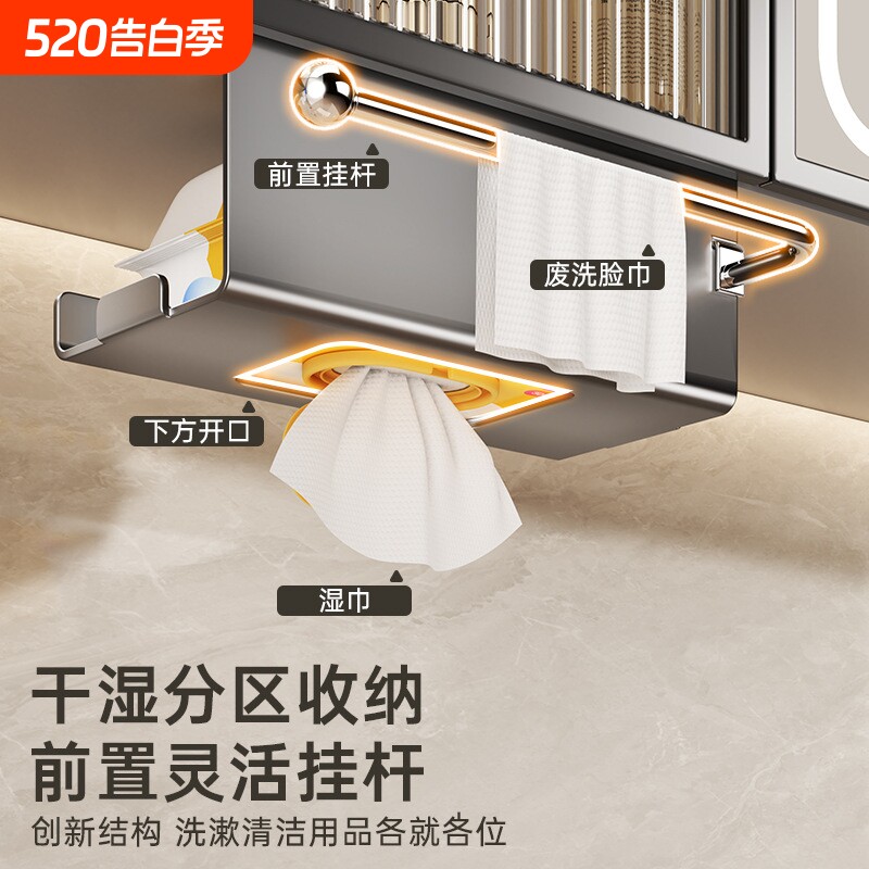 镜柜纸巾置物架浴室壁挂湿巾收纳盒卫生间丢弃废纸挂杆洗脸巾架子