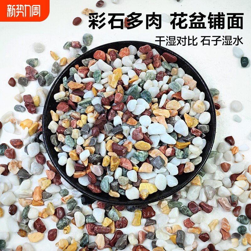 天然彩石多肉盆栽石子铺面鹅卵石鱼缸造景底砂种花装饰五彩小石头