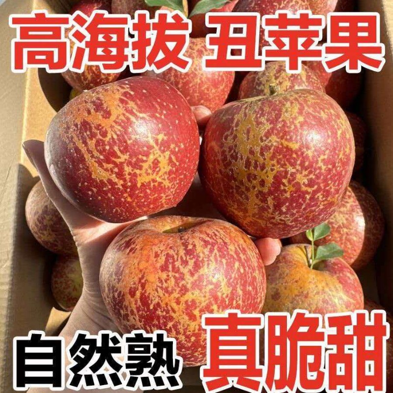 正宗高山丑苹果冰糖心红富士苹果脆甜新鲜水果大果现摘整箱年货节