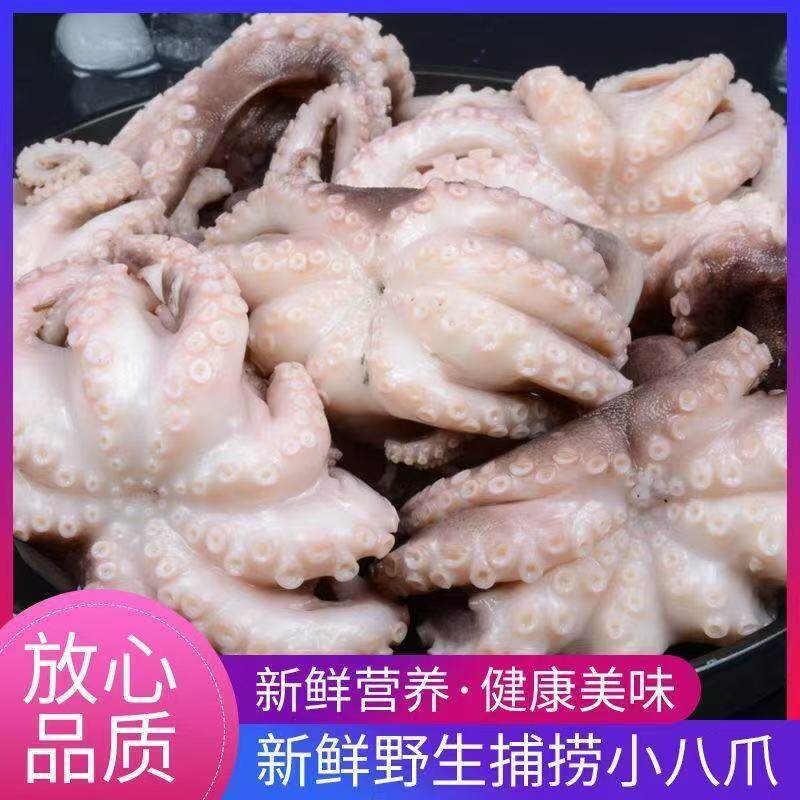 迷你小八爪鱼大爆头海鲜鲜冻水产小章鱼熟食免洗去内脏生鲜批发