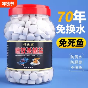 观赏鱼杀菌盐鱼缸消毒盐天然海盐鱼用防治净化水质净水免换水淡水
