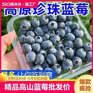 高山蓝莓鲜果当季 零科技 新鲜水果孕妇水果现摘空运非秘鲁蓝莓