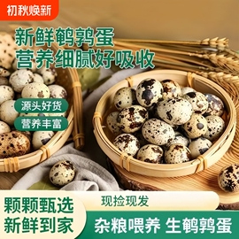 新鲜鹌鹑蛋50个 9.6元 - 86线报