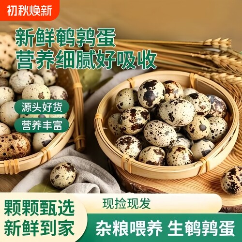 新鲜鹌鹑蛋农家自产特产批发杂粮喂养散养宝宝辅食多规格