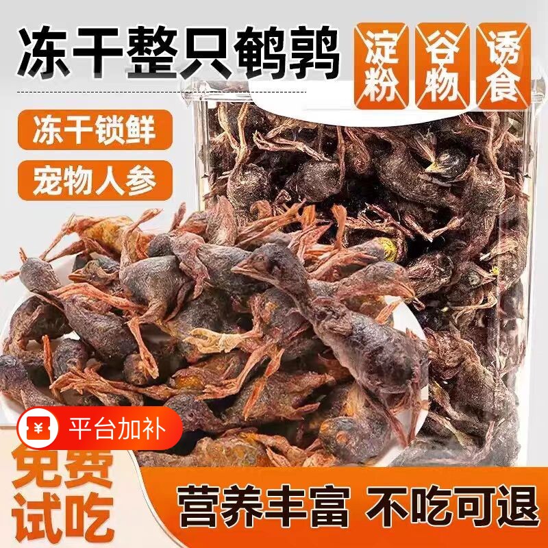 冻干鹌鹑猫咪宠物狗零食增肥发腮零食冻干粮生骨肉小鹌鹑猫咪零食