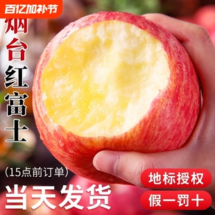 烟台红富士苹果10应当季斤新鲜水果整箱山东栖霞脆甜冰糖心丑平果