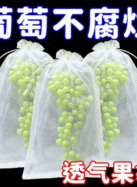 自带抽绳葡萄套袋水果防虫防鸟防雨网袋无花果透气瓜果防虫袋防水
