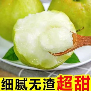 山西玉露香梨当季脆甜多汁香酥梨子新鲜时令水果山西特产礼盒包邮