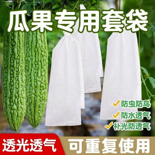 无纺布瓜果防虫套袋苦瓜丝瓜青瓜密防针蜂透气网袋防鸟保护袋黄瓜