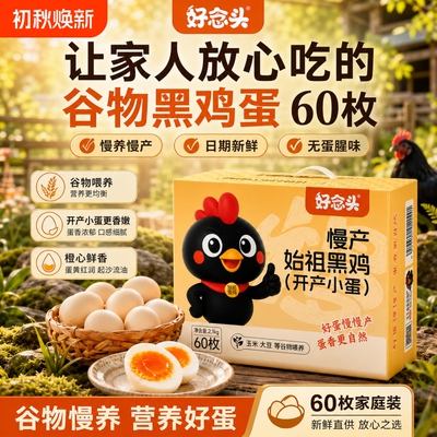 好念头可生食始祖黑鸡开产小蛋60枚初生蛋整箱土鸡蛋新鲜黑鸡蛋