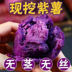沂蒙山紫薯紫罗兰番薯农村新鲜紫薯紫色番薯粗粮健康早餐香甜红薯