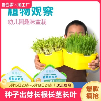 植物生长观察体验收割乐趣