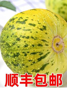 东北甜瓜八里香香瓜花姑娘甜瓜老品种香瓜顺丰送货上门脆甜可口