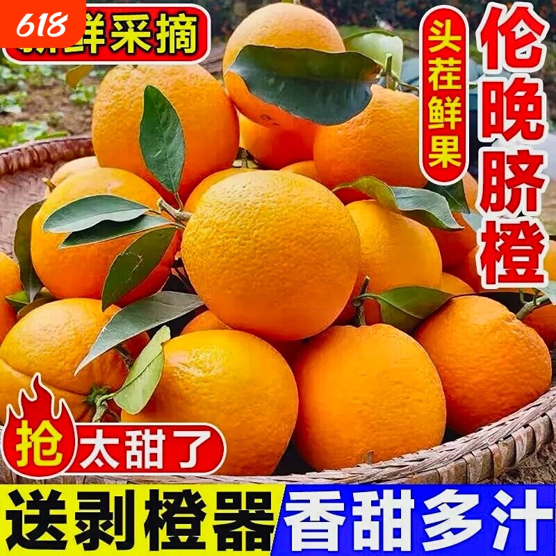 正宗秭归伦晚脐橙橙子新鲜当季水果手剥果冻冰糖甜橙大果整箱包邮