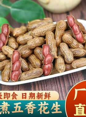 新店特惠】新货水煮花生五香卤汁烧烤夜市伴侣1斤真空包装下酒菜