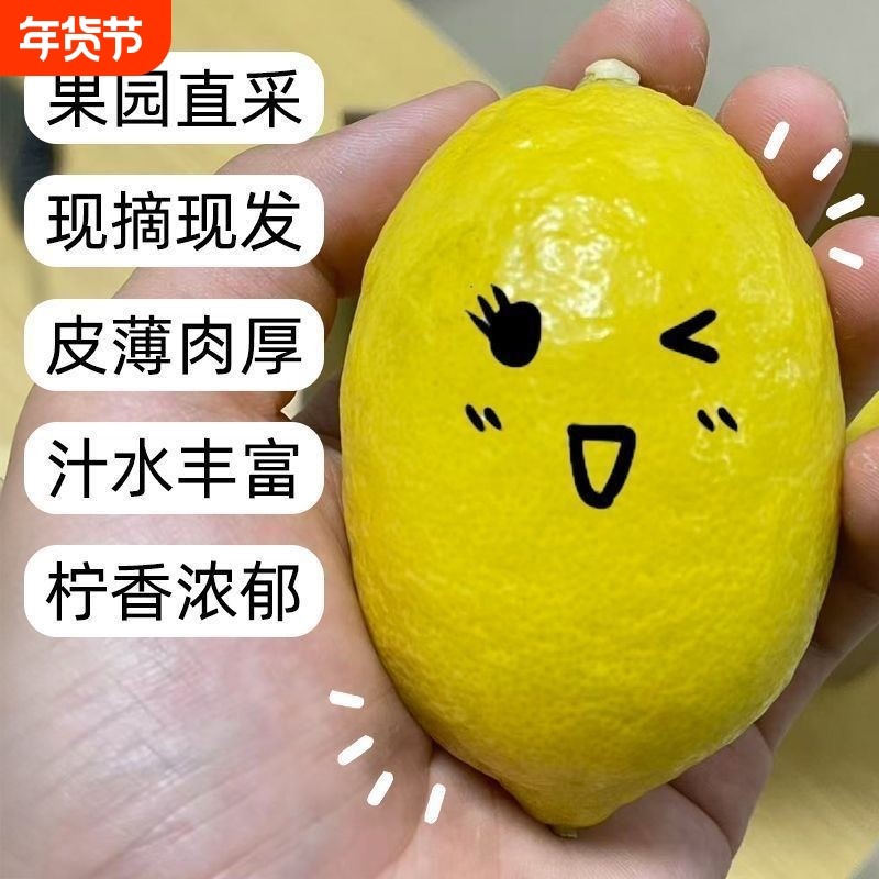 广东黄香水柠檬新鲜水果皮薄包邮香水鲜甜柠檬黄柠檬当季新鲜水果