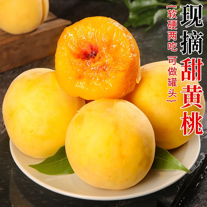 锦绣黄桃水果新鲜现摘黄金油毛春夏桃子时令水蜜蟠桃果园当季整箱