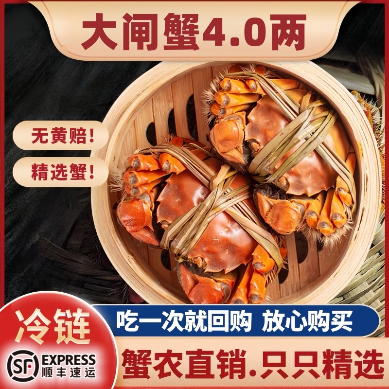 正宗活蟹新鲜特大阳澄大闸蟹苏州鲜活满黄螃蟹特大大闸蟹顺丰冷链