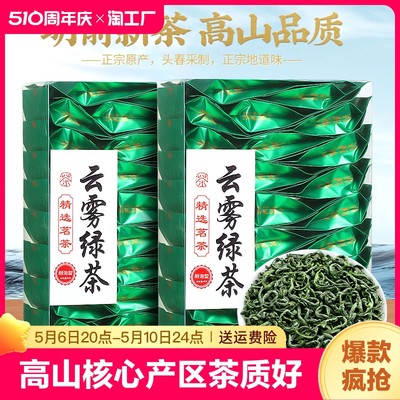 明前采摘新茶云雾绿茶高品质