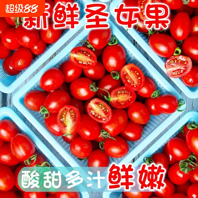 玲珑千禧小番茄千喜西红柿圣女果新鲜水果当季小柿子农家蔬菜