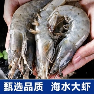 大虾冷冻超大基围青虾特大青白虾生鲜活对虾速冻海虾虾类海鲜水产