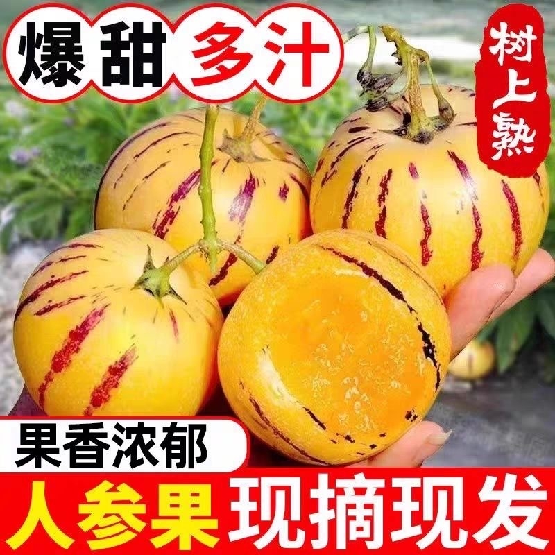 云南石林人参果新鲜水果七彩黄肉圆果孕妇水果应季人生果娃娃大果