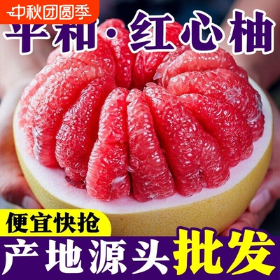 红心蜜柚福建三红柚子8.5斤新鲜当季甜水果西柚红肉大果福建平和