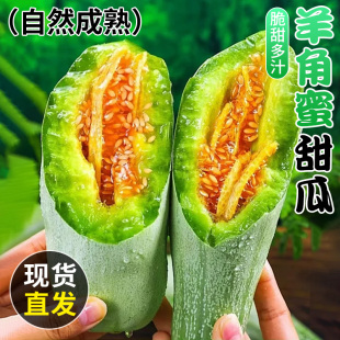 山东羊角蜜甜瓜水果新鲜当季10整箱斤小密香瓜蜜瓜羊角甜瓜旗舰店