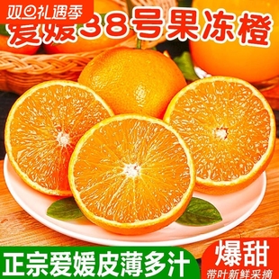 四川眉山爱媛果冻橙净重4.5斤