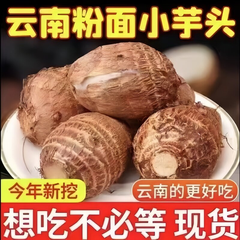 云南正宗牛奶芋头新鲜现挖产地粉糯农产品当季小香芋芋艿头农场