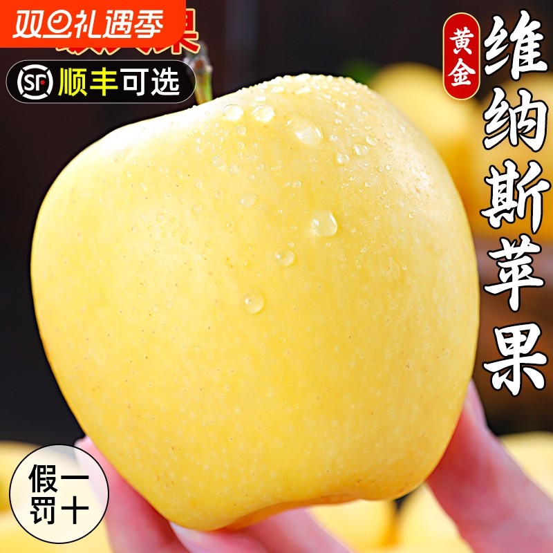 山东烟台黄金维纳斯苹果新鲜水果正宗当季奶油红富士金帅冰糖心甜
