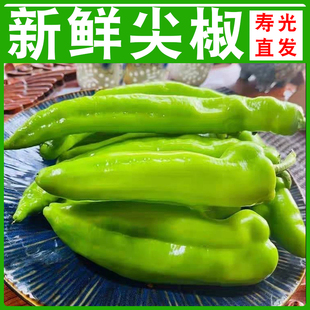 大青椒青椒炒肉羊角尖椒黄皮椒产地直发火锅配菜