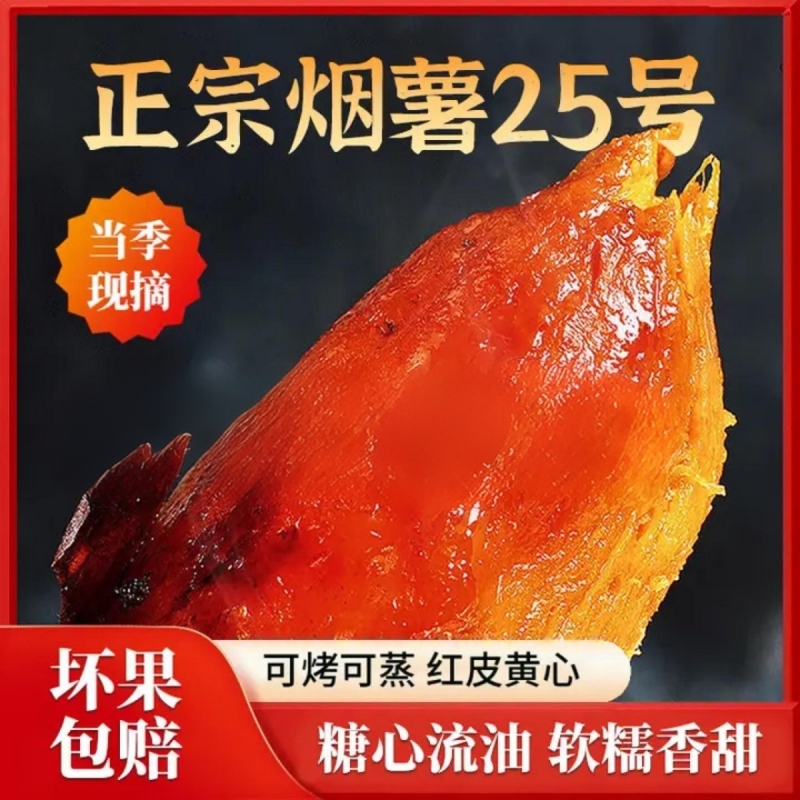 烟薯糖心红薯正宗山东烟台蜜薯25烤地瓜沙地新鲜番薯5斤流油当季