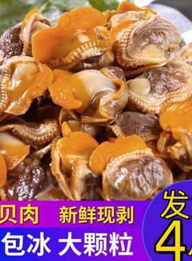 毛蛤蜊肉新鲜冷冻海鲜水产麻钳子肉毛哈肉血蛤肉赤贝肉嘎啦肉鲜活