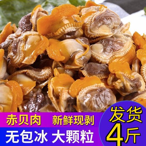毛蛤蜊肉新鲜冷冻海鲜水产麻钳子肉毛哈肉血蛤肉赤贝肉嘎啦肉鲜活