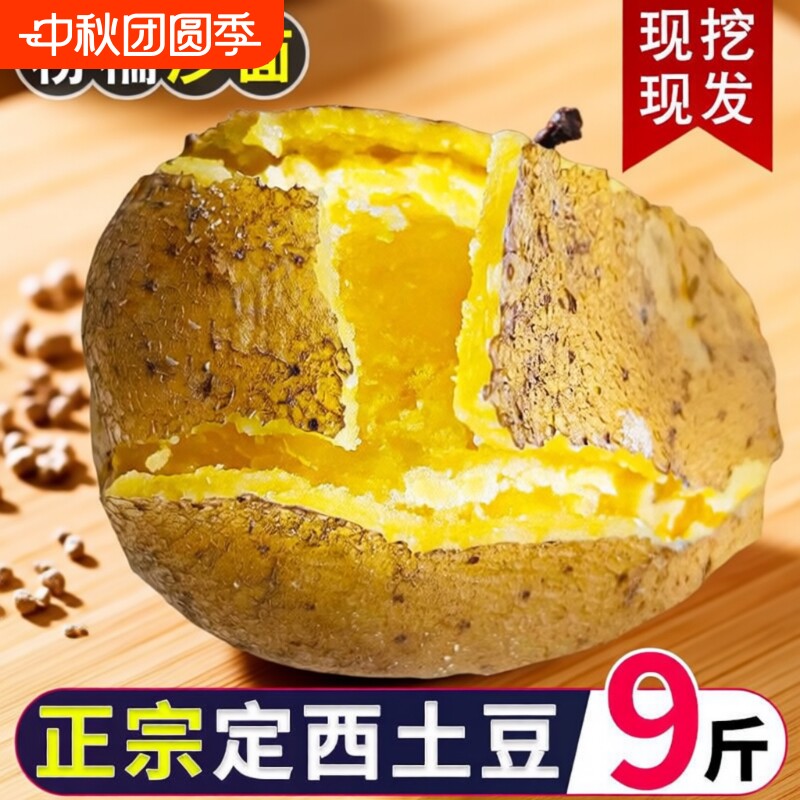 定西新鲜土豆5斤|超3000次加购图片