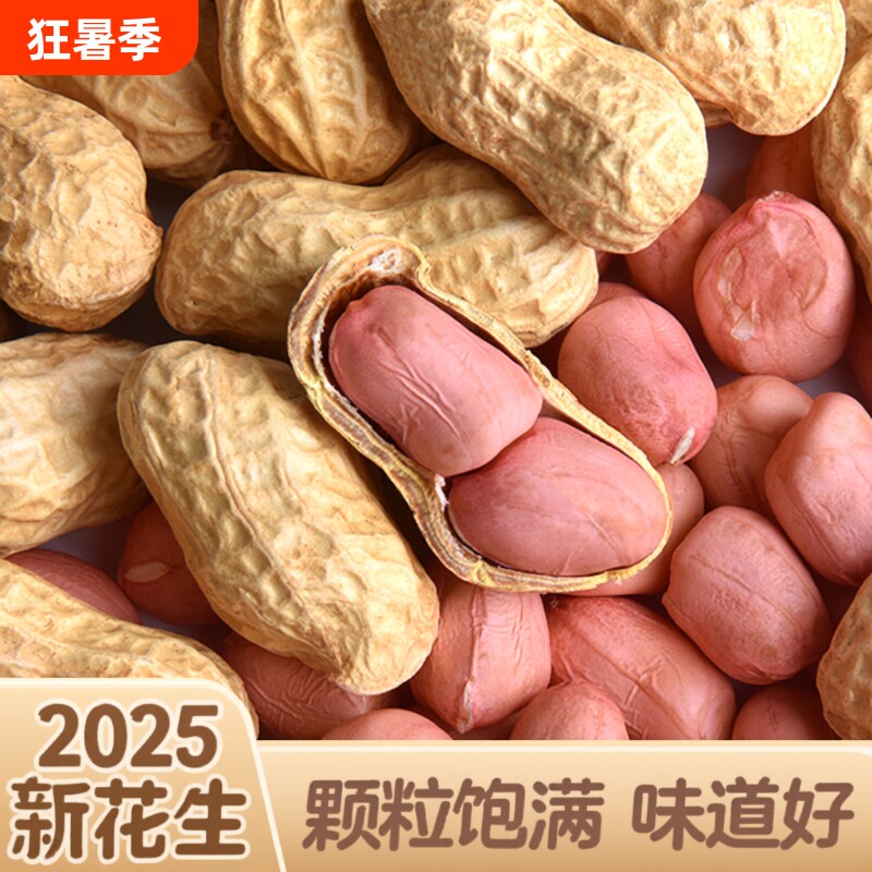 带壳生花生新鲜2025年新货晒干花生果原味白沙带皮高产薄壳种籽子 - 实物图