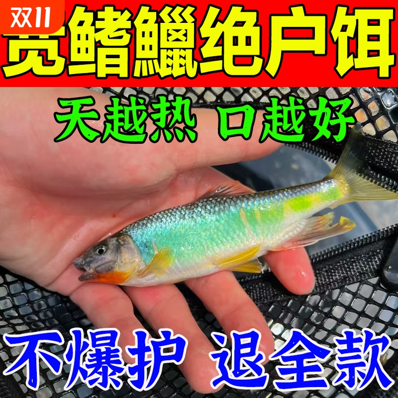 宽鳍鱲专用饵料野钓粉饵腥香型