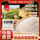 云南圆糯米当季 新米农家白糯米江米酒酿包粽子米饭团糍粑新糯江米