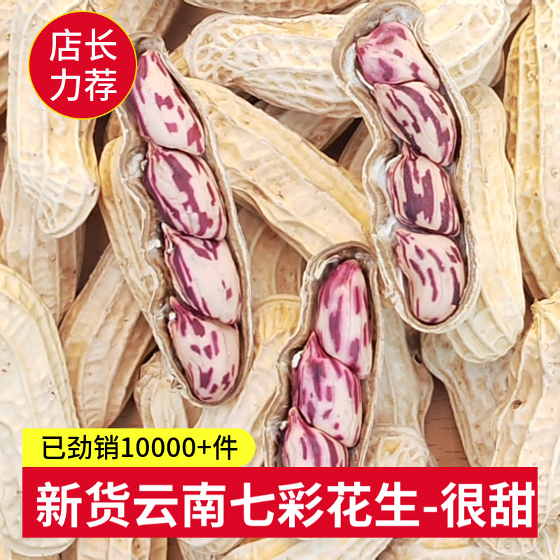 2025新货七彩花生晒干带壳云南水煮咸干白晒五彩花生米花生种子